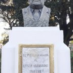 Profesor Juan José Antonio Segura